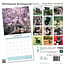 Calendrier des chiots schnauzers miniatures 2025