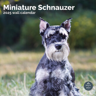 Baker & Bray Calendrier Schnauzer miniature 2025