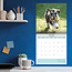 Calendrier Schnauzer miniature 2025