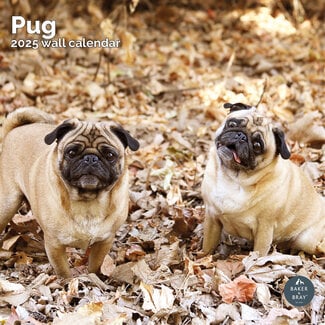 Baker & Bray Calendario Pug 2025