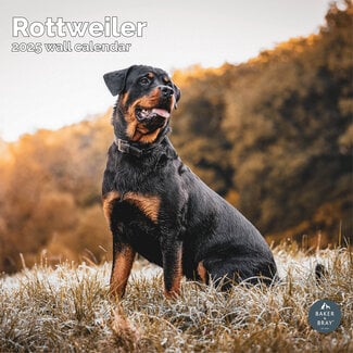 Baker & Bray Calendrier Rottweiler 2025