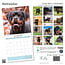 Rottweiler Kalender 2025