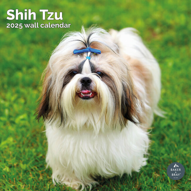 Calendario Shih Tzu 2025
