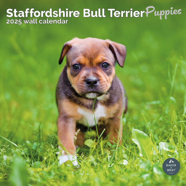 Staffordshire Bull Terrier Chiots Calendrier 2025