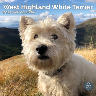 Baker & Bray Calendrier West Highland White Terrier 2025