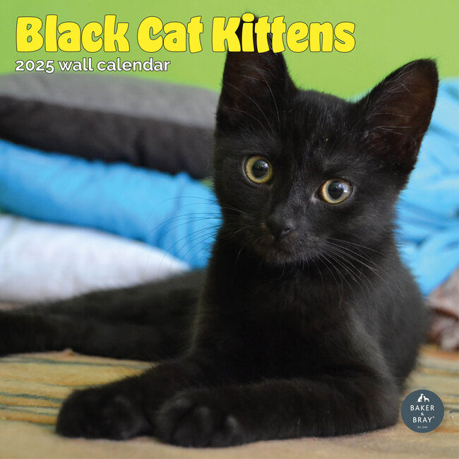 Black Kittens Calendar 2025