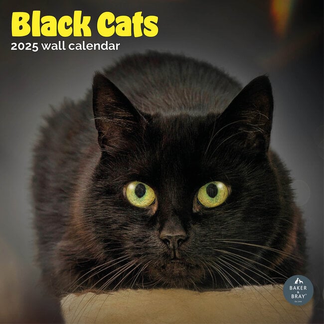 Black Cats Calendar 2025