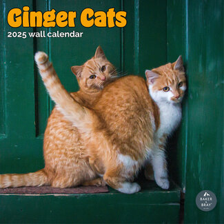 Baker & Bray Red Cat Calendar 2025