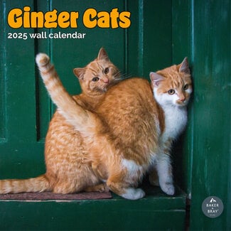 Baker & Bray Roter Katzenkalender 2025