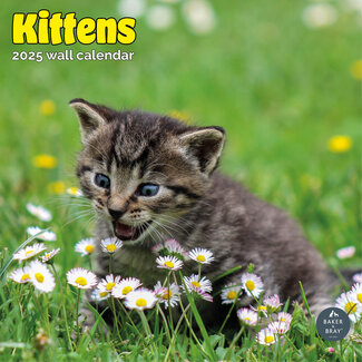 Baker & Bray Kittens Calendar 2025