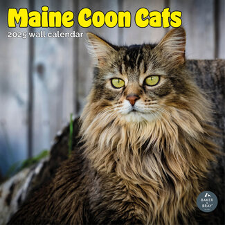 Baker & Bray Calendrier Maine Coon 2025