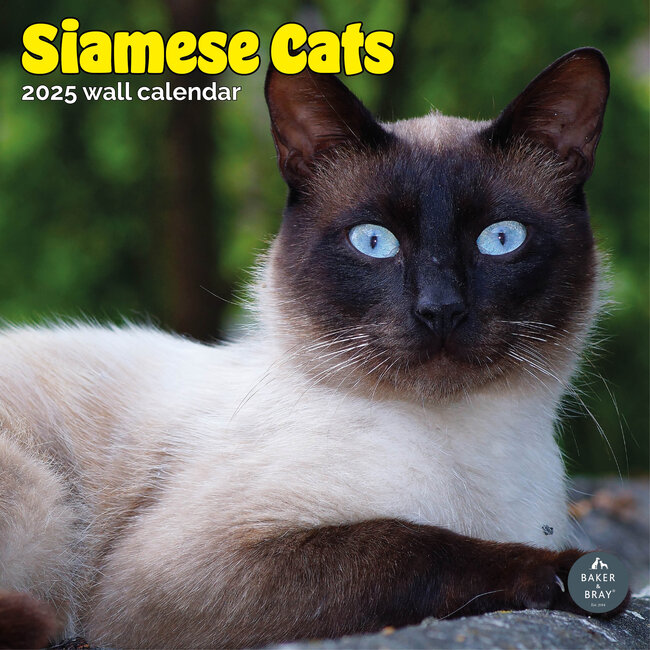 Siamese Calendar 2025