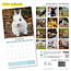 Baby-Tiere Kalender 2025