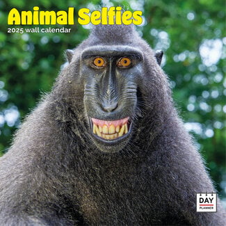 Dayplanner Calendrier Selfies Animaux 2025