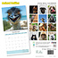 Animales Selfies Calendario 2025