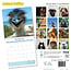 Calendrier Selfies Animaux 2025