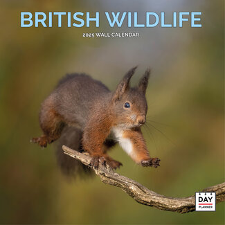 Dayplanner British Wildlife Calendar 2025