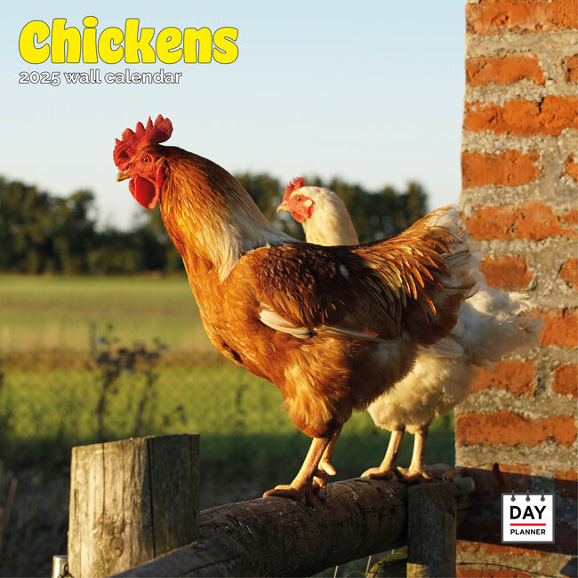 Chickens Calendar 2025