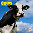 Cows Calendar 2025