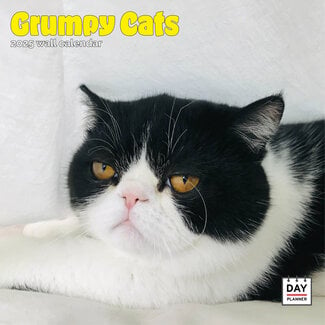 Dayplanner Calendrier Grumpy Cat 2025