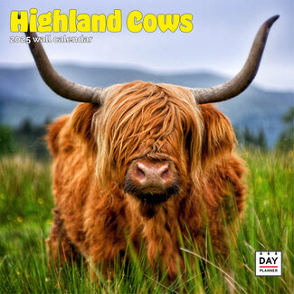 Dayplanner Calendario degli Highlanders scozzesi 2025