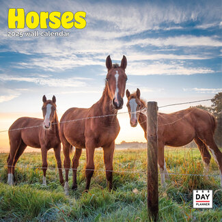 Dayplanner Calendrier des chevaux 2025