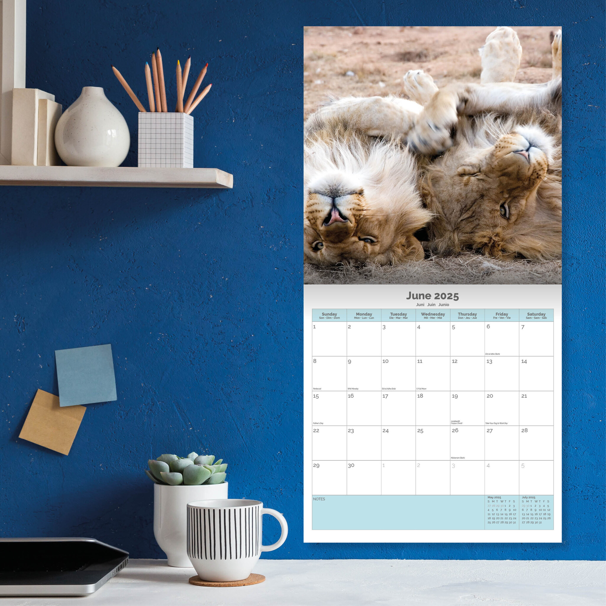 Buy Lions Calendar 2025? Order online quickly and easily