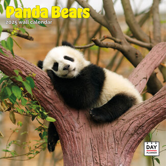 Dayplanner Calendario Panda 2025