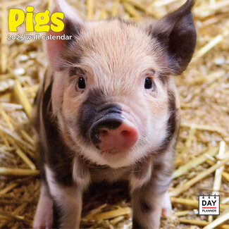 Dayplanner Schweinekalender 2025