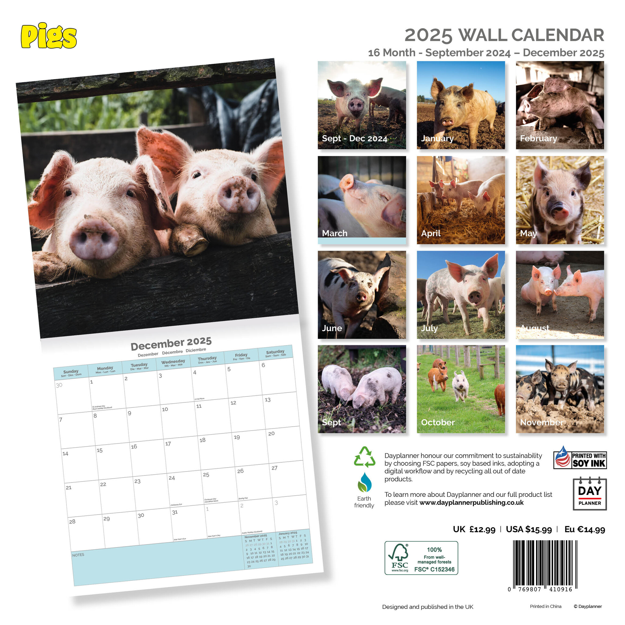 Buy Pig Calendar 2025? Order online quickly and easily Kalenderwinkel.nl