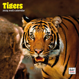 Dayplanner Calendario Tigre 2025