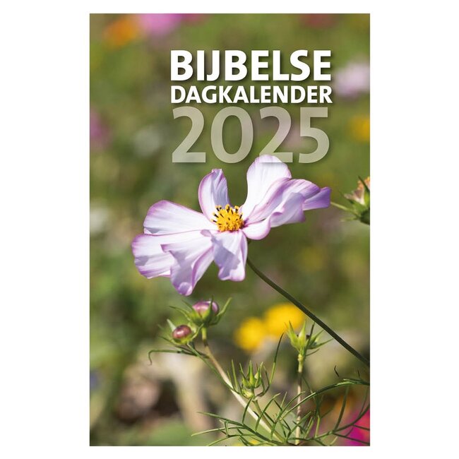 Bible Day Calendar 2025