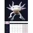 Axolotl A3 Calendar 2025