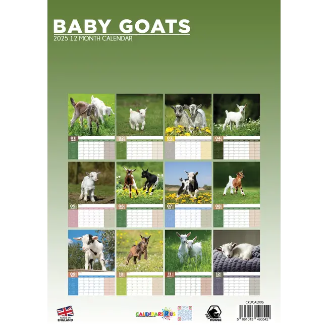 Buy Baby Goats A3 Calendar 2025? Order online quickly and easily Kalenderwinkel.nl