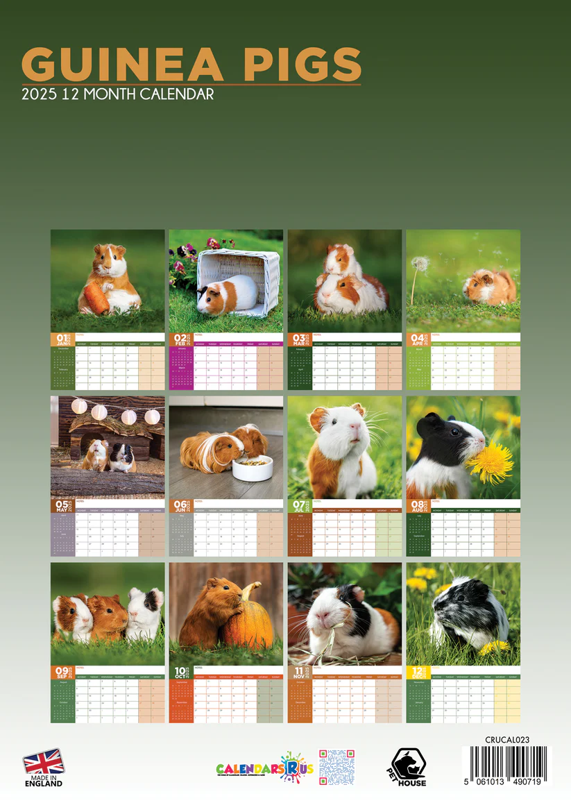 Meerschweinchen A3 Kalender 2025 kaufen? Schnell und einfach online 