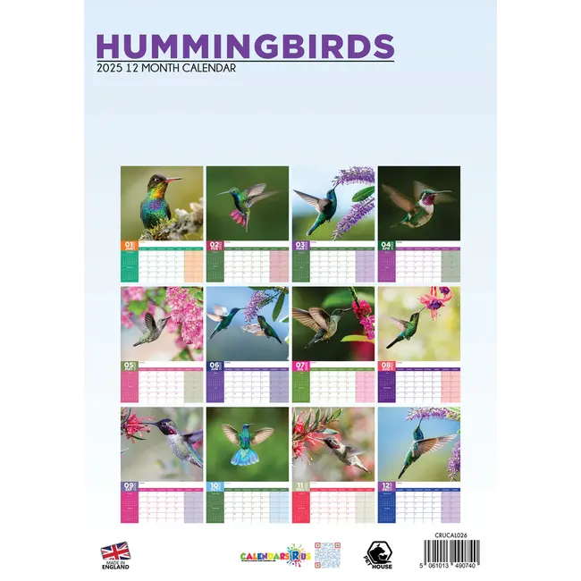 Buying Hummingbirds A3 Calendar 2025? Order online quickly and easily