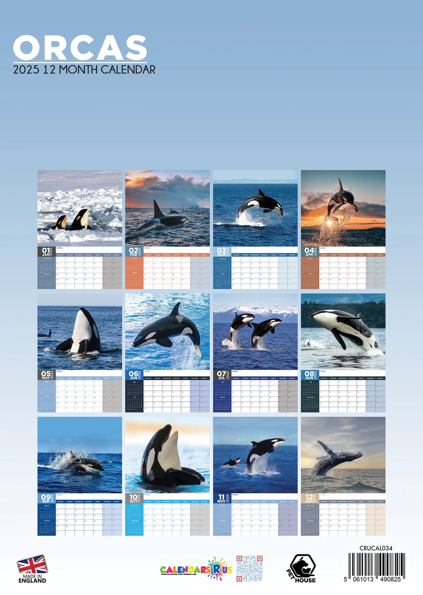 Buying Orcas A3 Calendar 2025? Order online quickly and easily