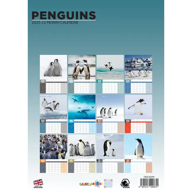Penguins A3 Calendar 2025 Order easily and quickly Online