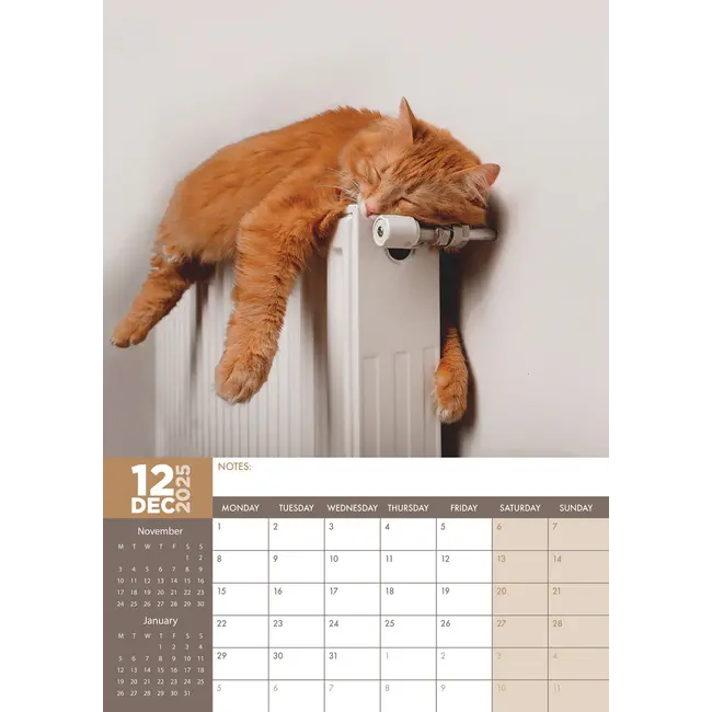 Cat Naps A3 Kalendar 2025? Bestel eenvoudig en snel Online