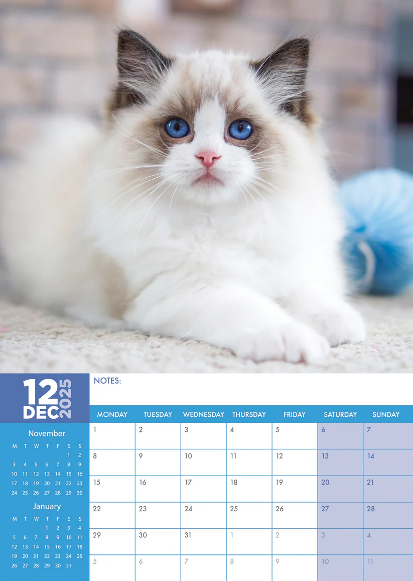 Ragdoll Kalender 2025? Bestel eenvoudig en snel Online. Kalenderwinkel.nl