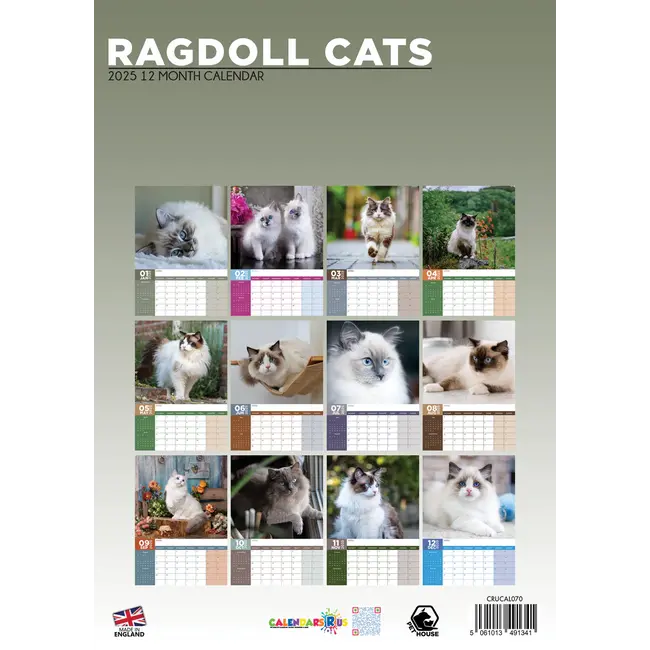 Ragdoll Calendar 2025? Order easily and quickly online. Kalenderwinkel.nl
