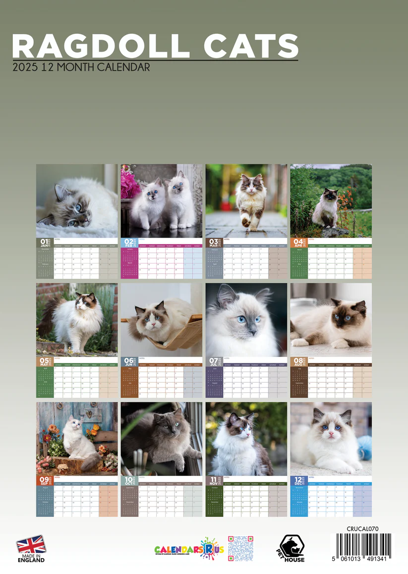 Ragdoll Calendar 2025? Order easily and quickly online. Kalenderwinkel.nl