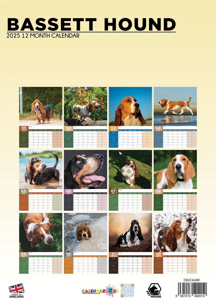 Basset Hound A3 Kalender 2025 Kopen Bestel Eenvoudig En Snel Online Basset Hound A3 Kalender 2025