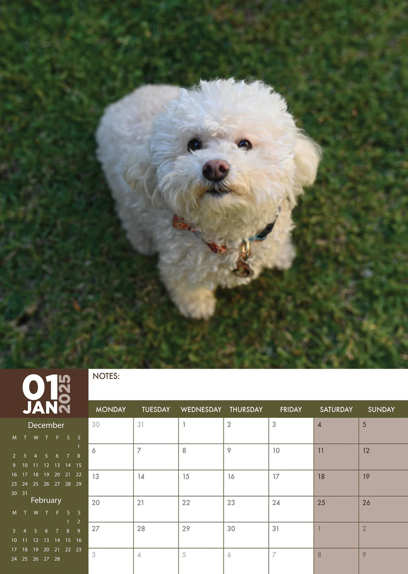 Calendario Cuadrado De Agosto De 2024 Plantilla De Diseño Calendario De Planificador De Horarios