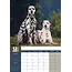 Dalmatien Calendrier A3 2025