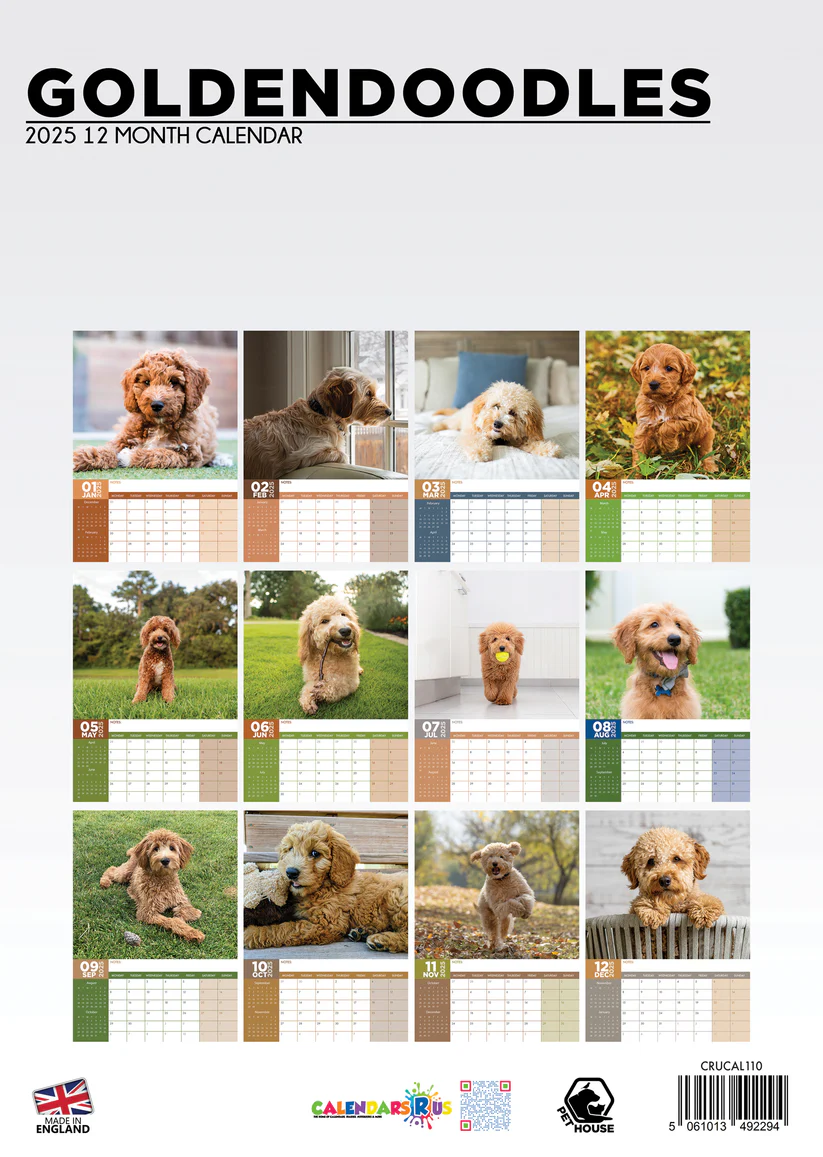 Buy Goldendoodle A3 Calendar 2025? Order online quickly and easily