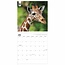 Calendrier WWF Girafe 2025