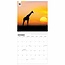 WWF Giraffenkalender 2025