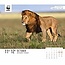 WWF Calendario Mundo Natural 2025 En caja