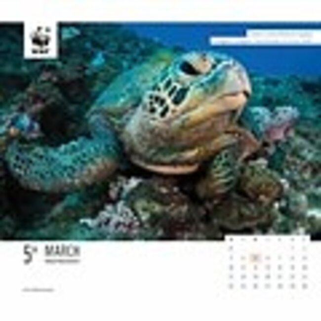 WWF Natural World Kalender 2025 Kopen?  Bestel eenvoudig Online 